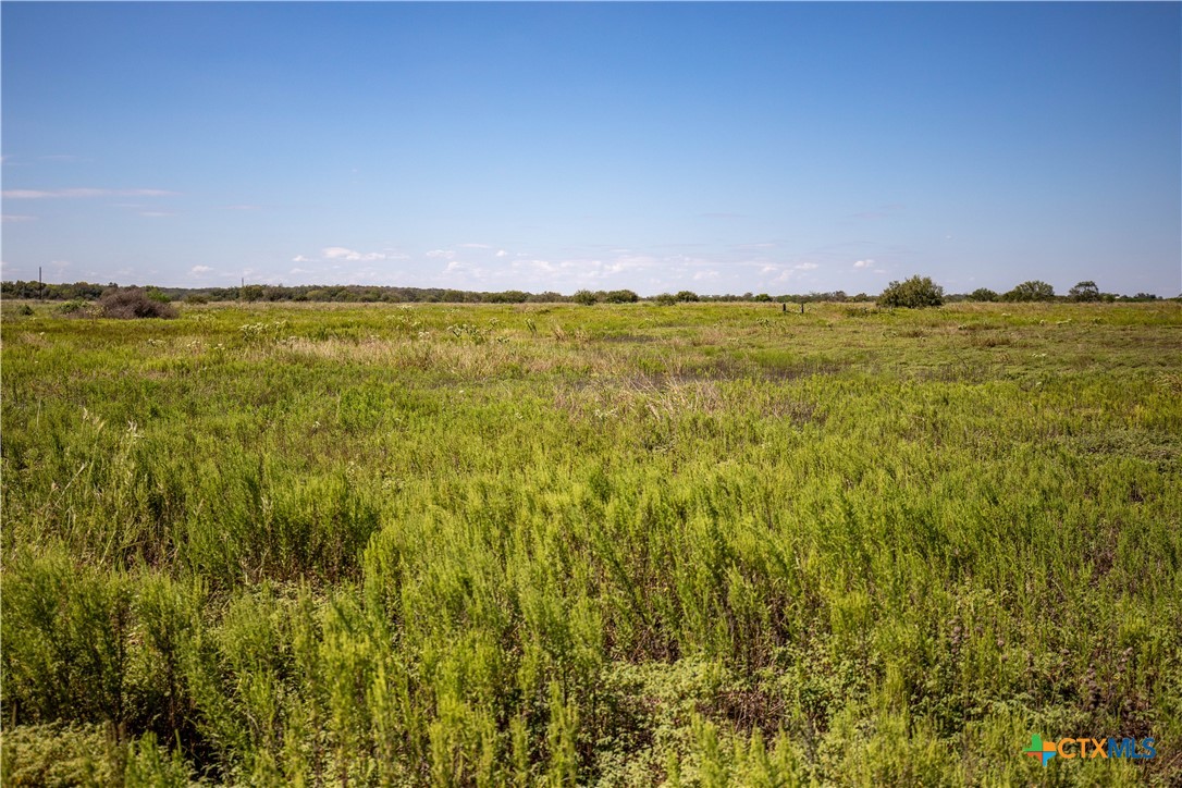 The Hotz Road Ranch | 114.5± Acres | Dewitt County, Texas