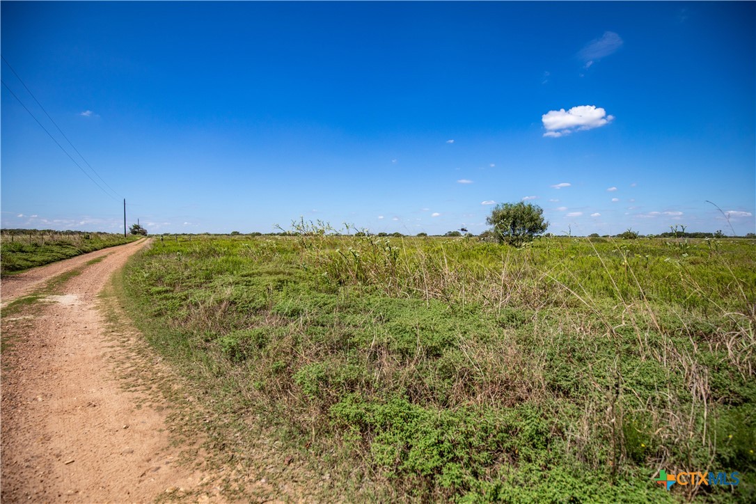 The Hotz Road Ranch | 114.5± Acres | Dewitt County, Texas