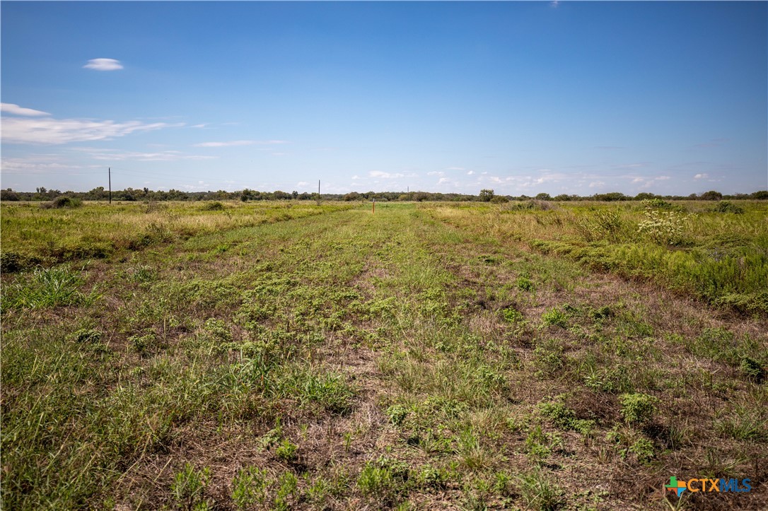 The Hotz Road Ranch | 114.5± Acres | Dewitt County, Texas