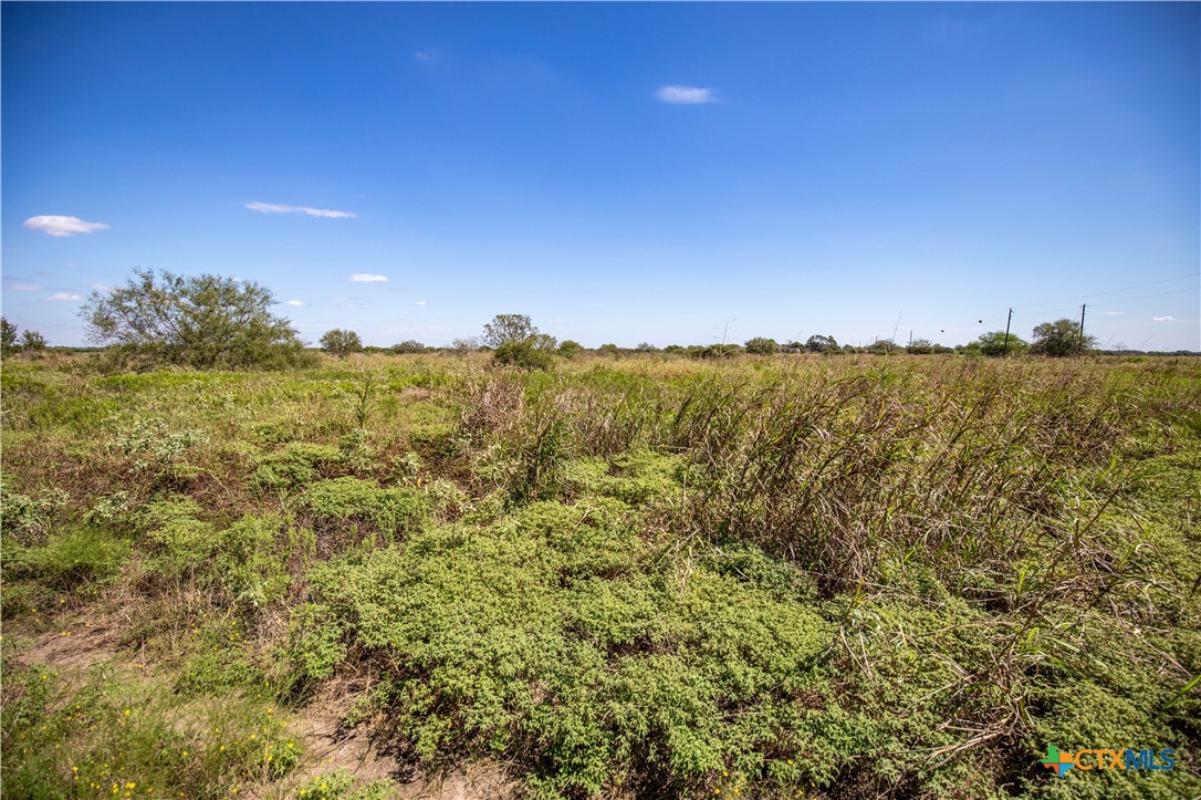 The Hotz Road Ranch | 114.5± Acres | Dewitt County, Texas