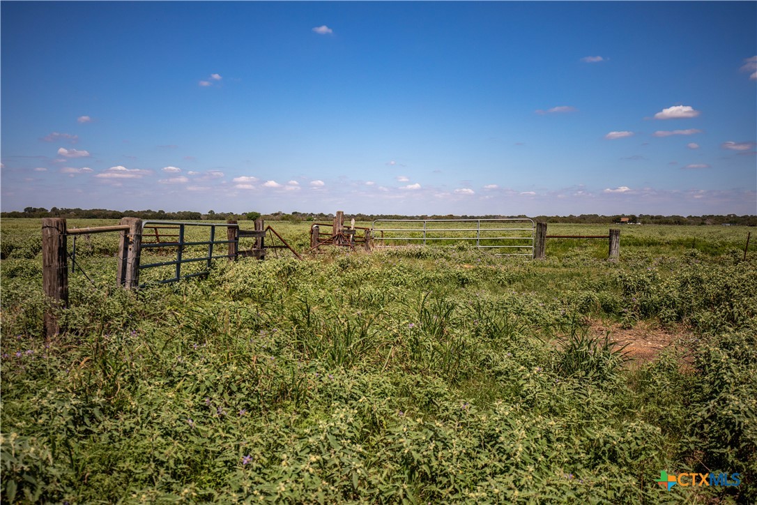 The Hotz Road Ranch | 114.5± Acres | Dewitt County, Texas