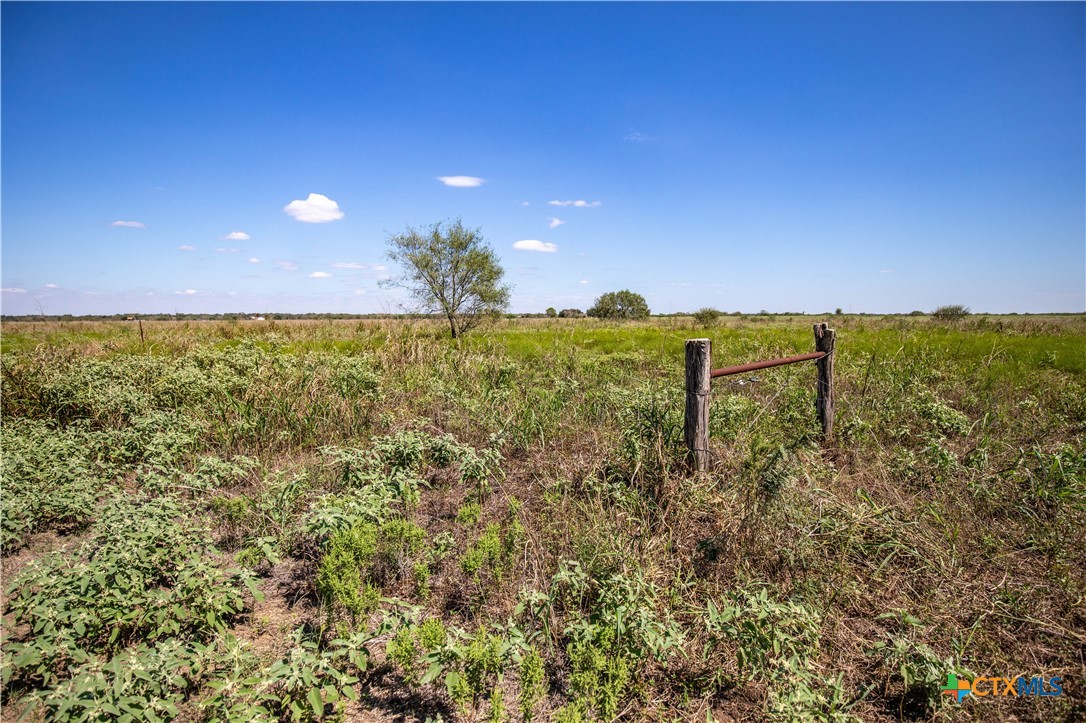 The Hotz Road Ranch | 114.5± Acres | Dewitt County, Texas