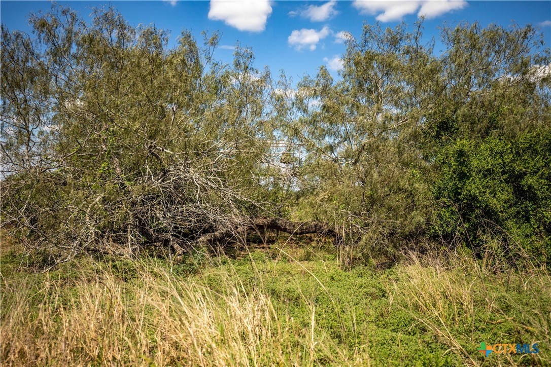 The Hotz Road Ranch | 114.5± Acres | Dewitt County, Texas