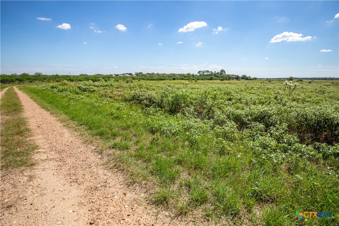 The Hotz Road Ranch | 114.5± Acres | Dewitt County, Texas