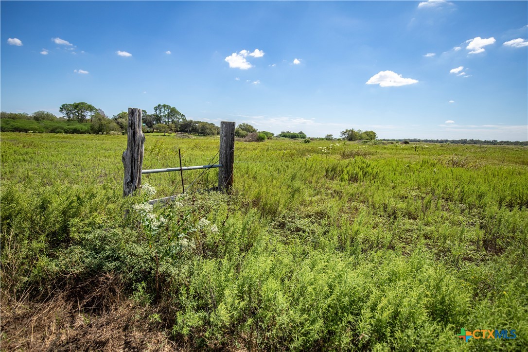 The Hotz Road Ranch | 114.5± Acres | Dewitt County, Texas