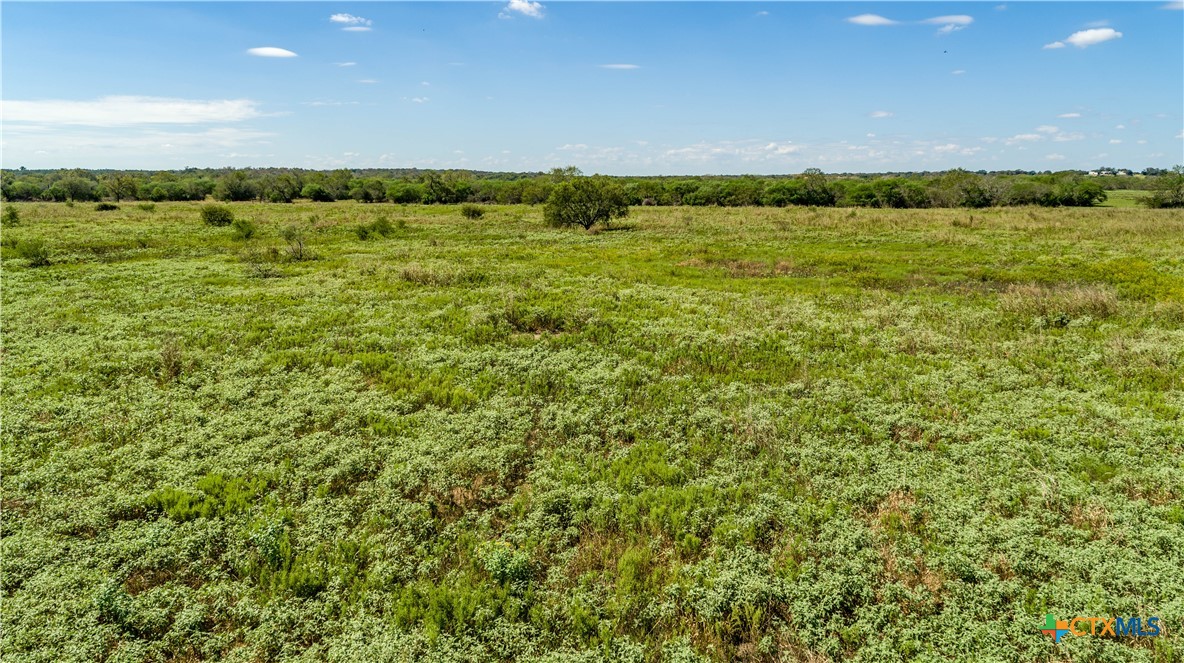 The Hotz Road Ranch | 114.5± Acres | Dewitt County, Texas