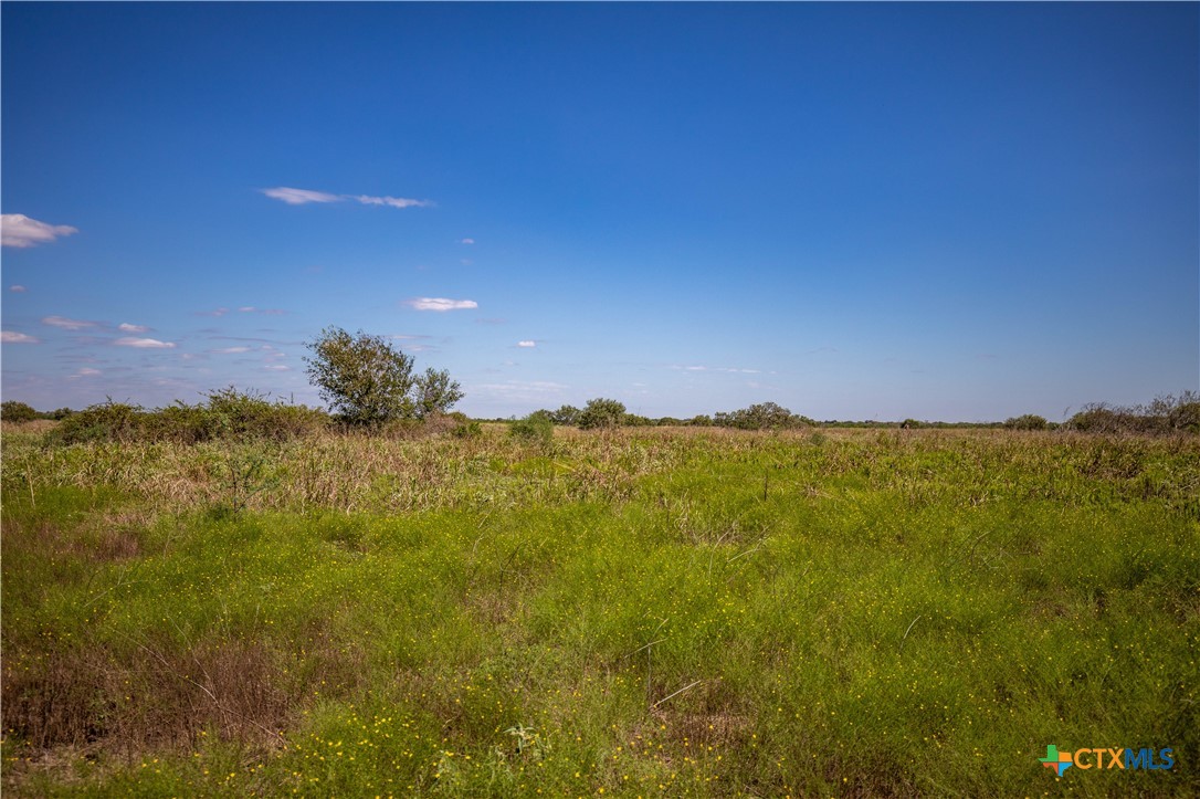 The Hotz Road Ranch | 114.5± Acres | Dewitt County, Texas