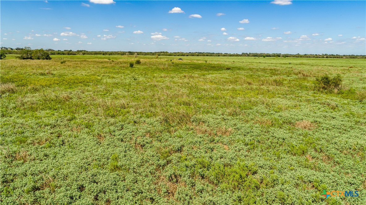 The Hotz Road Ranch | 114.5± Acres | Dewitt County, Texas