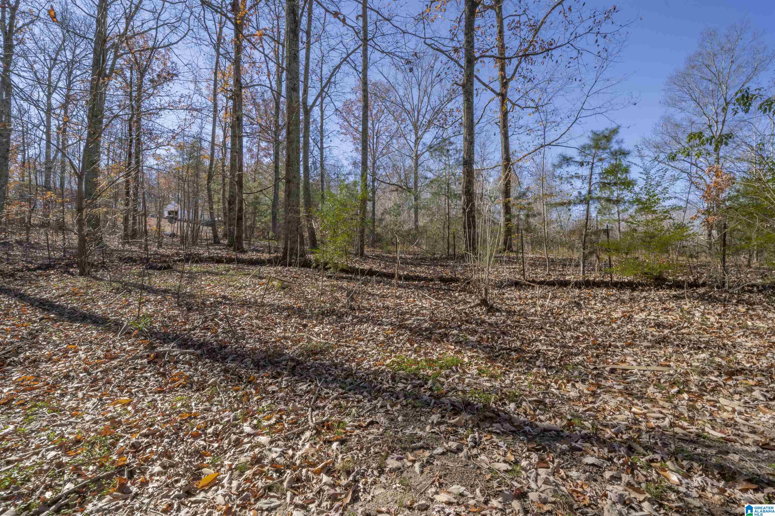 1525 ROCK SPRINGS ROAD
