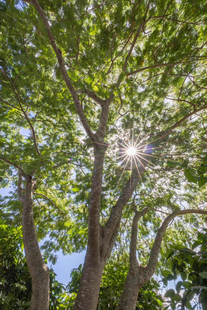 9056 SE Karin Street