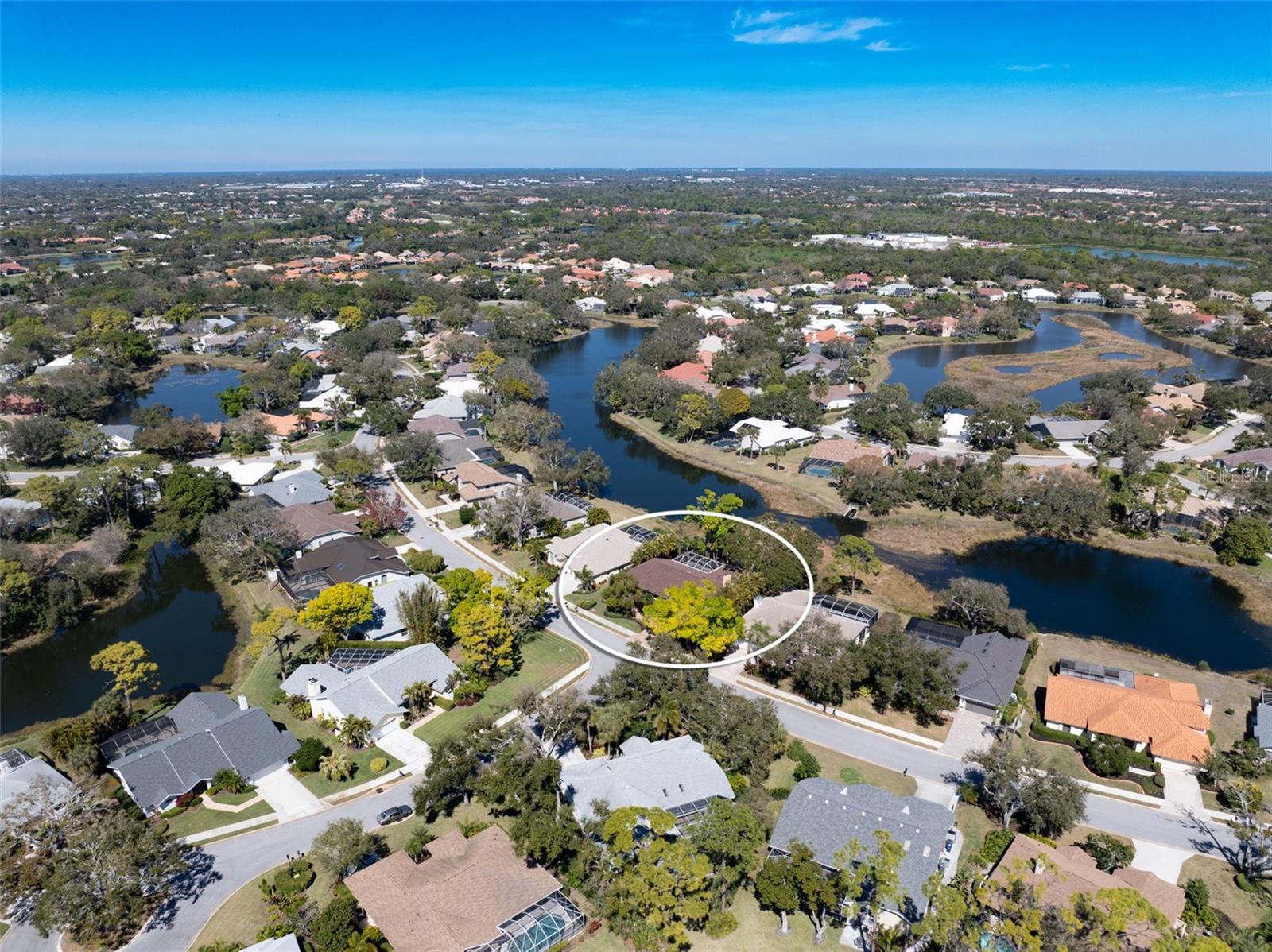 8309 SHADOW PINE WAY