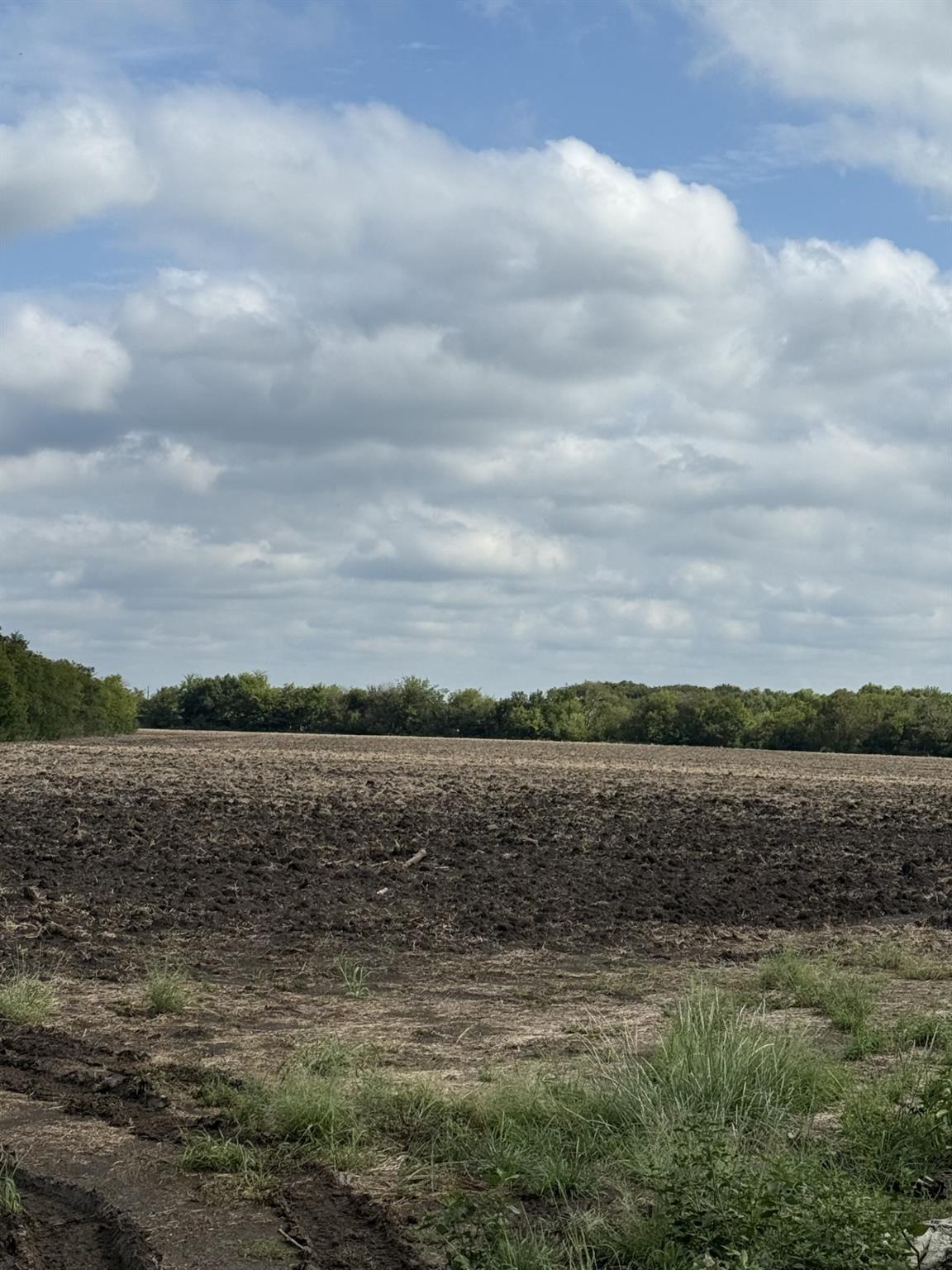 51.1 Acres County Road 3603