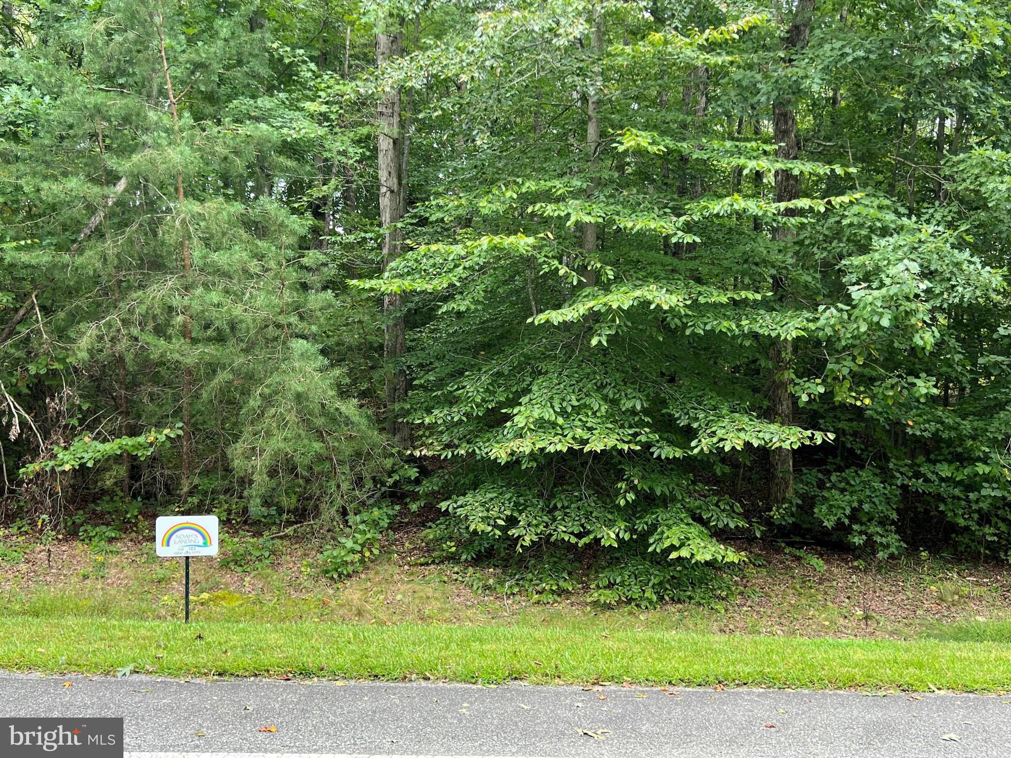 Lot 103 Noah's Landing Dr