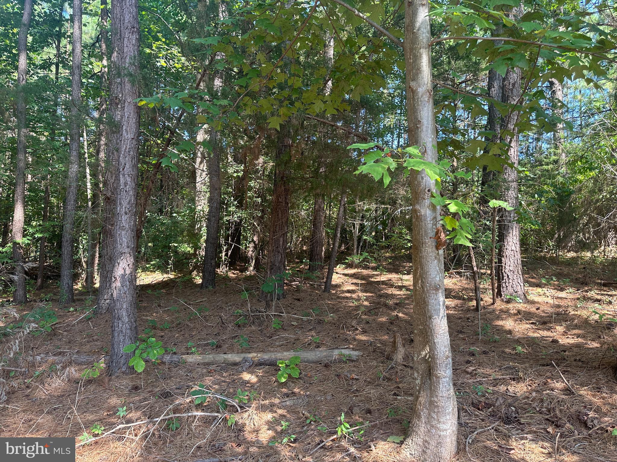 Lot 51 Days Bridge Rd