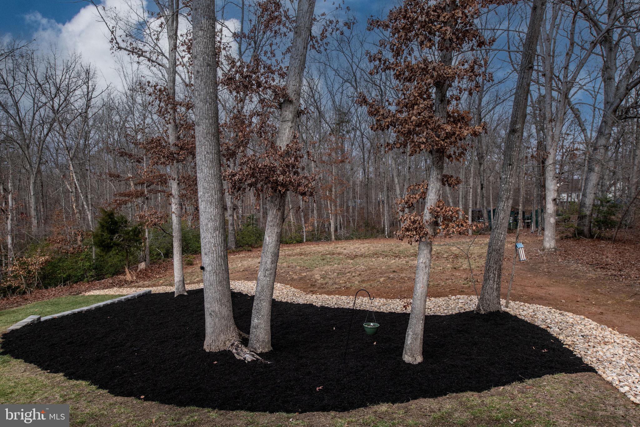 115 Madaline Ln