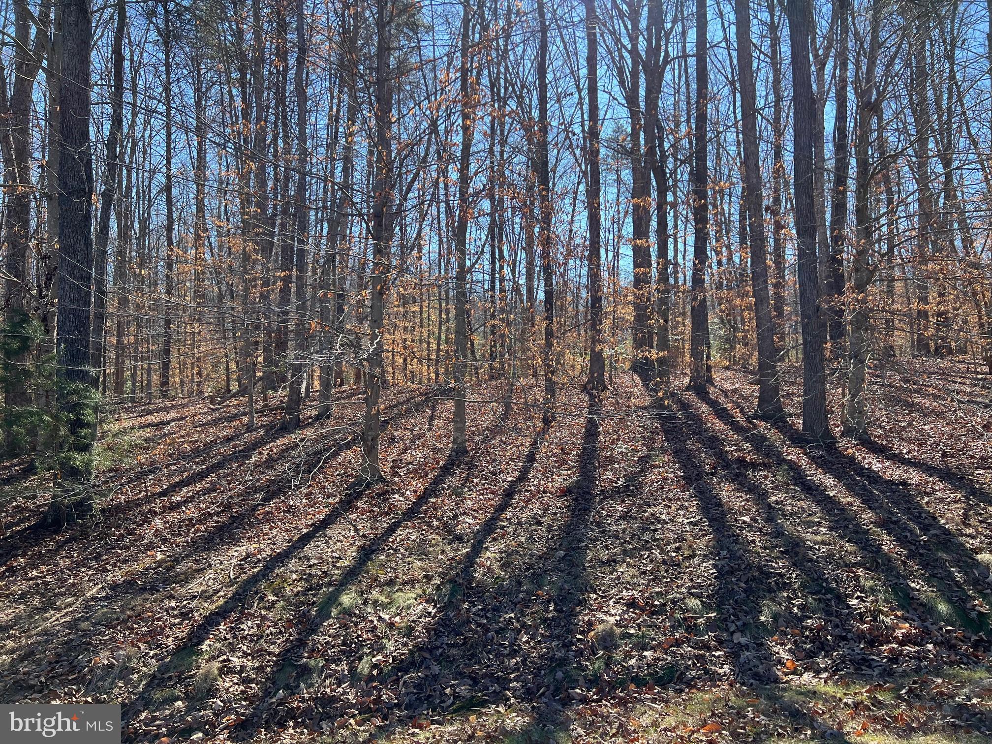 Lot 98 Noah's Landing Drive