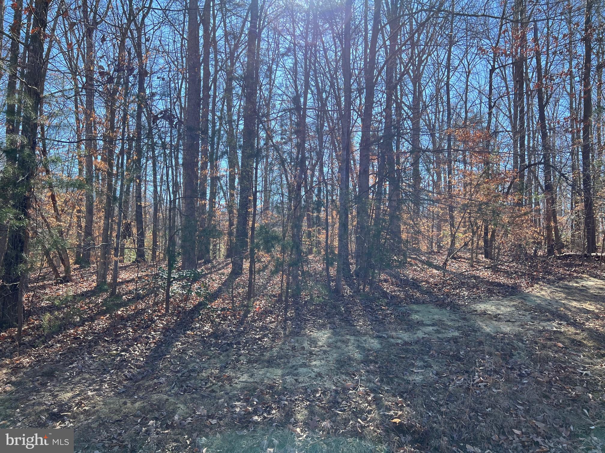 Lot 98 Noah's Landing Drive