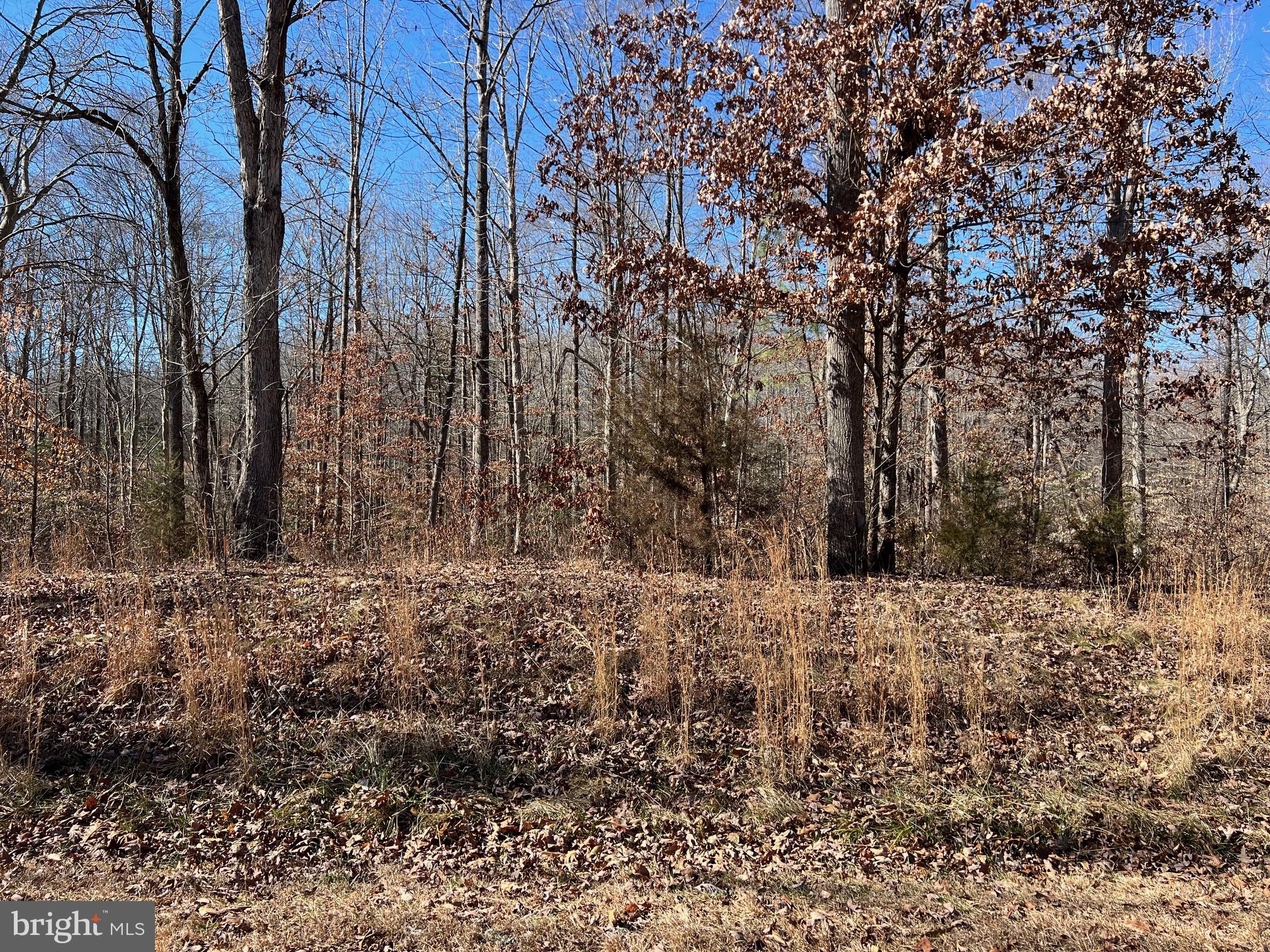 Lot 67 Dove Ct