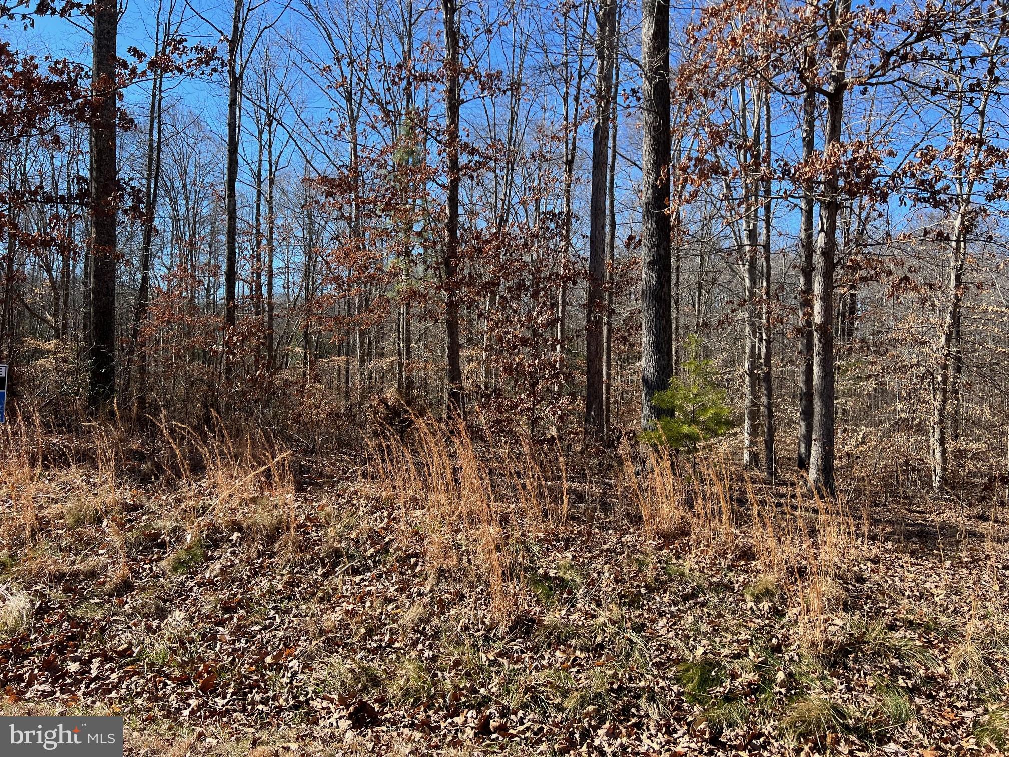 Lot 67 Dove Ct