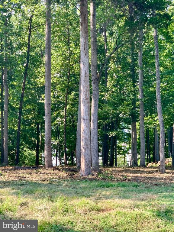 Lot 18 Shady Oaks Ln