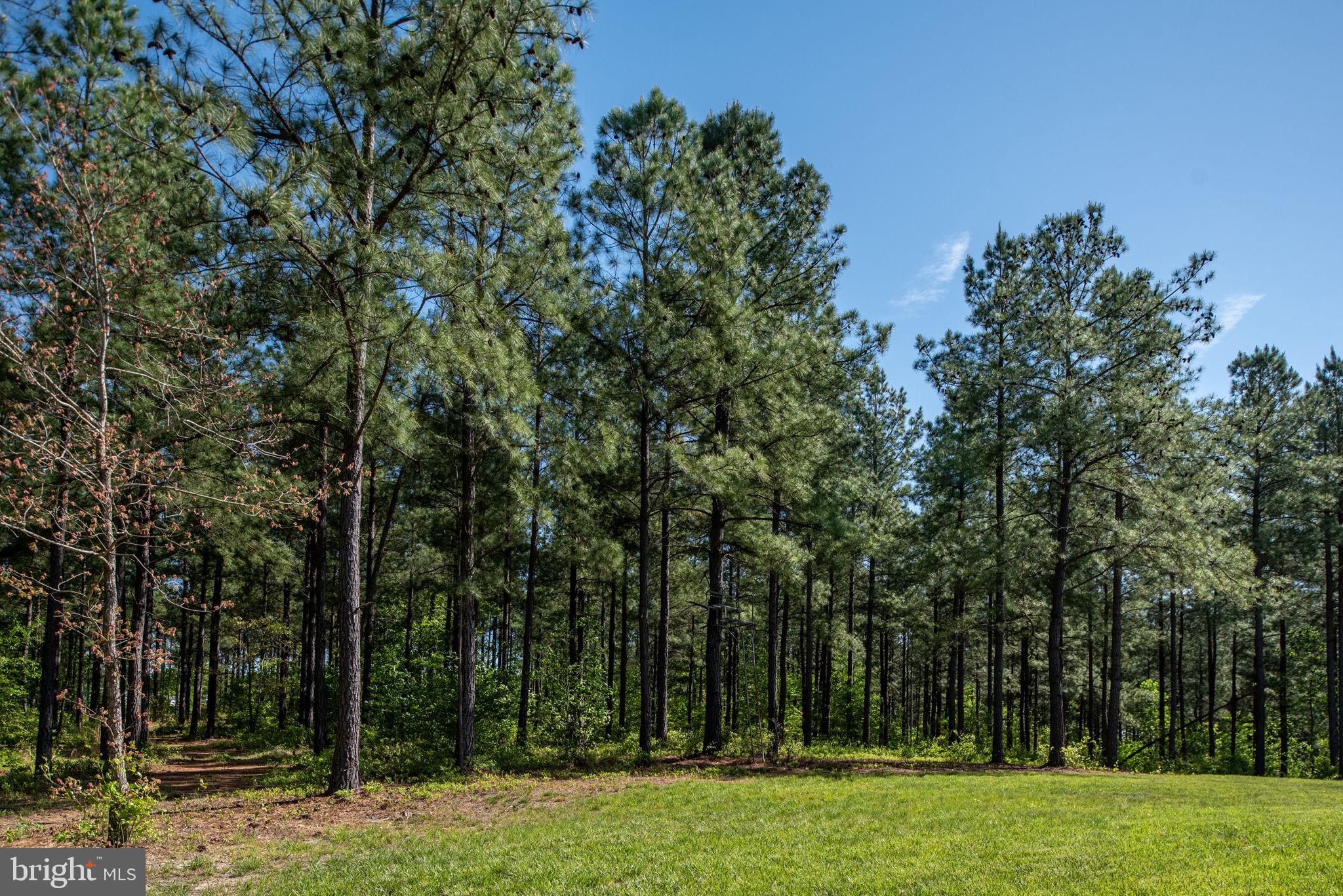 4275 Zachary Taylor Hwy