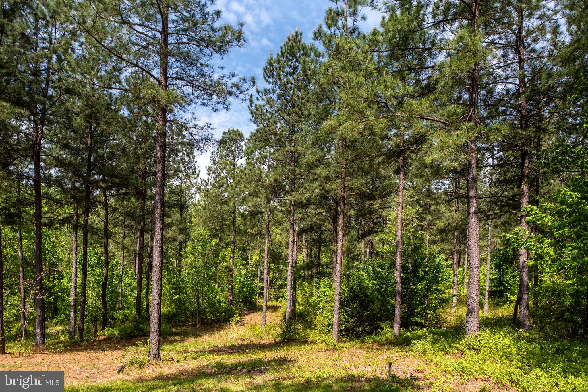 4275 Zachary Taylor Hwy