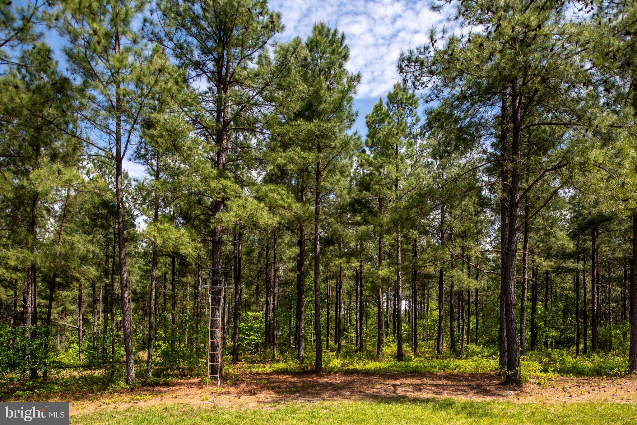 4275 Zachary Taylor Hwy