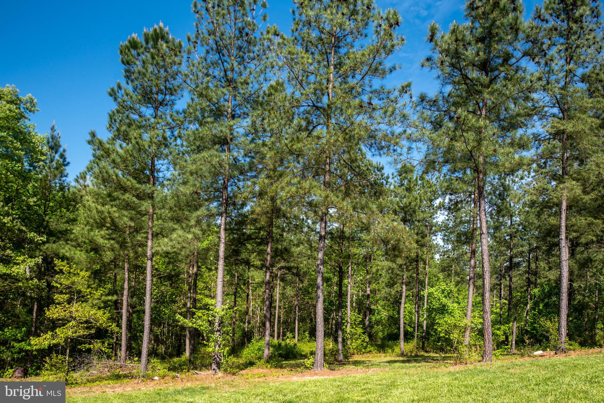 4275 Zachary Taylor Hwy