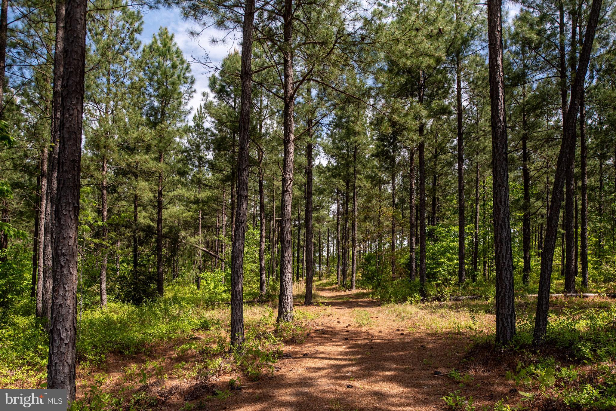 4275 Zachary Taylor Hwy