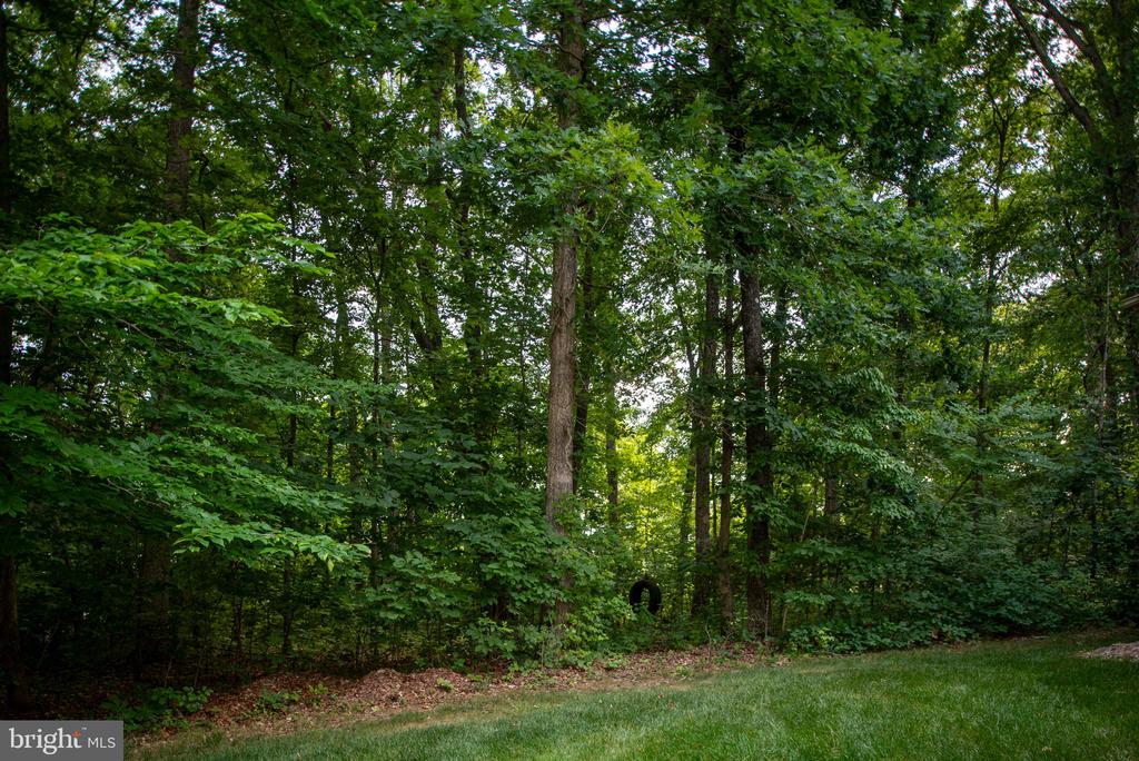 72 Forest Ln