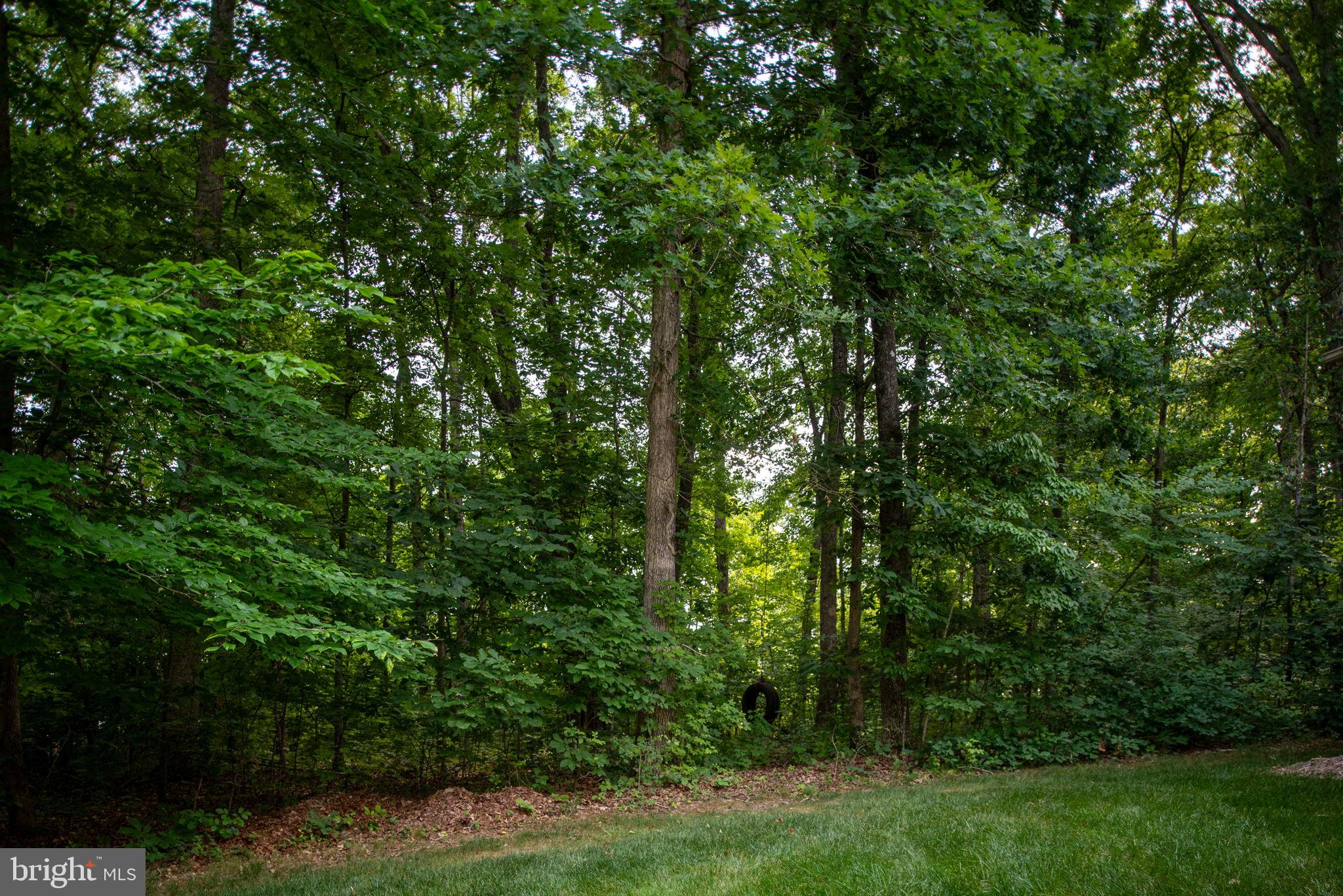 72 Forest Ln