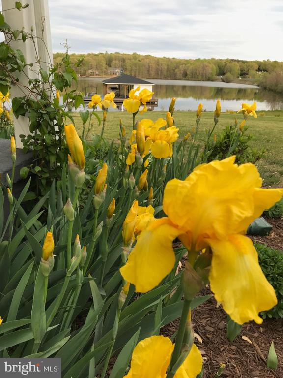 9646 Kentucky Springs
