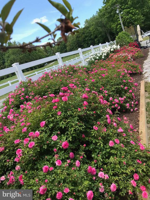 9646 Kentucky Springs