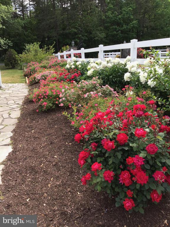 9646 Kentucky Springs
