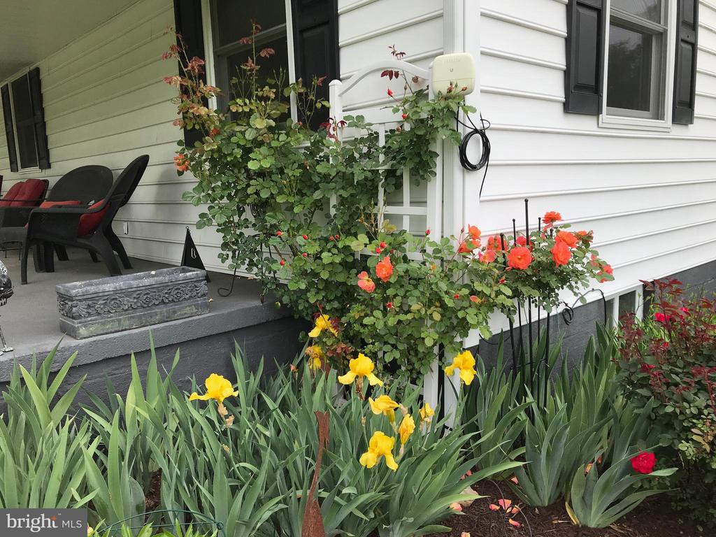 9646 Kentucky Springs