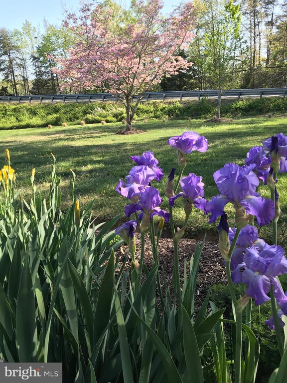9646 Kentucky Springs