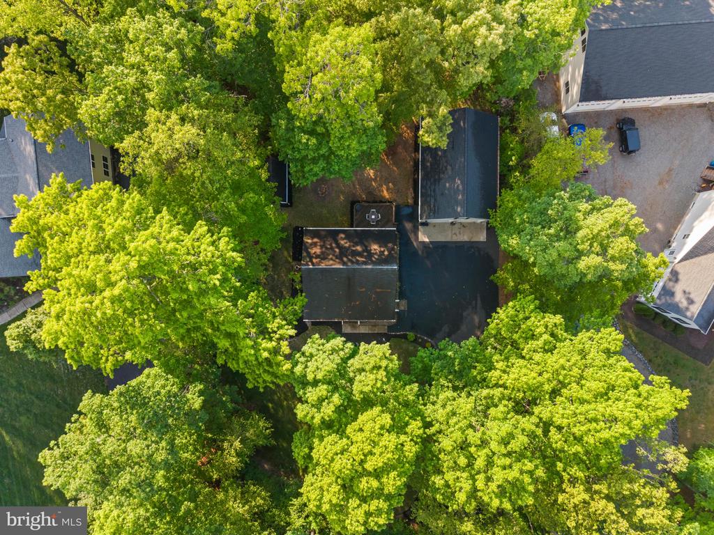 239 OAKWOOD DR