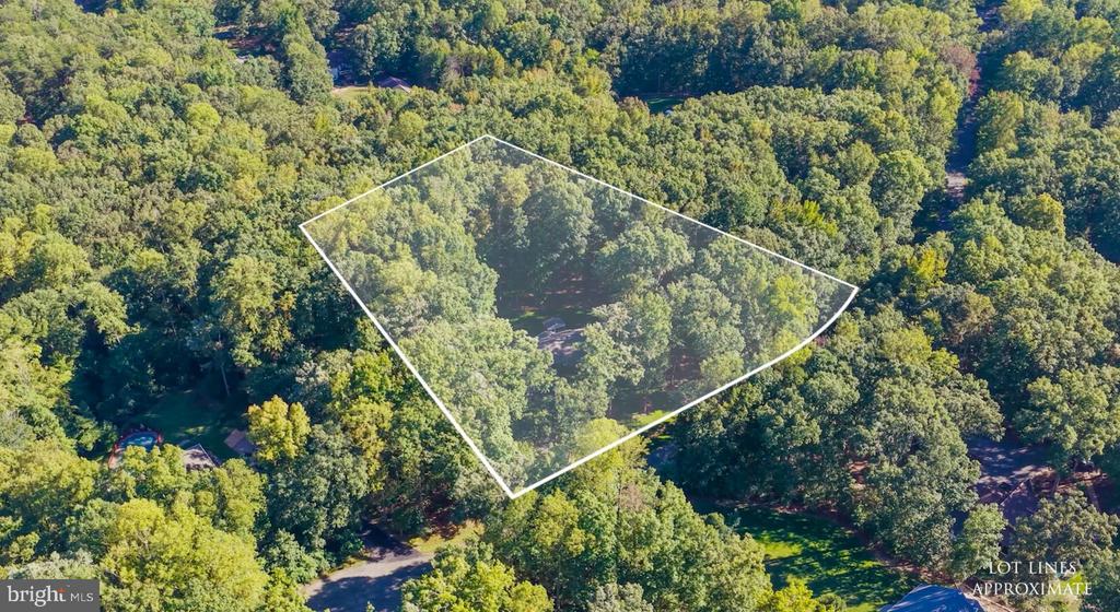 Aerial view of a wooded lot outlined with approximate property boundaries.