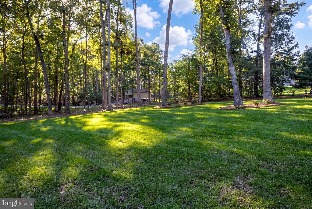Spacious lawn beneath mature trees, with a small outbuilding among the trees.