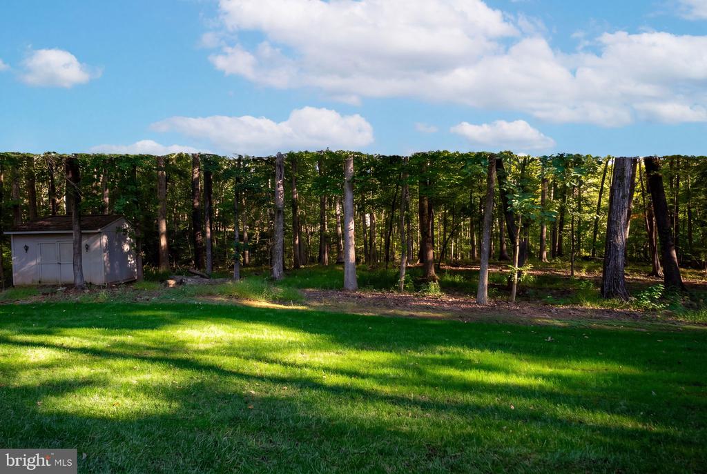 Grassy backyard bordered by woods, with a small white shed at the left.
