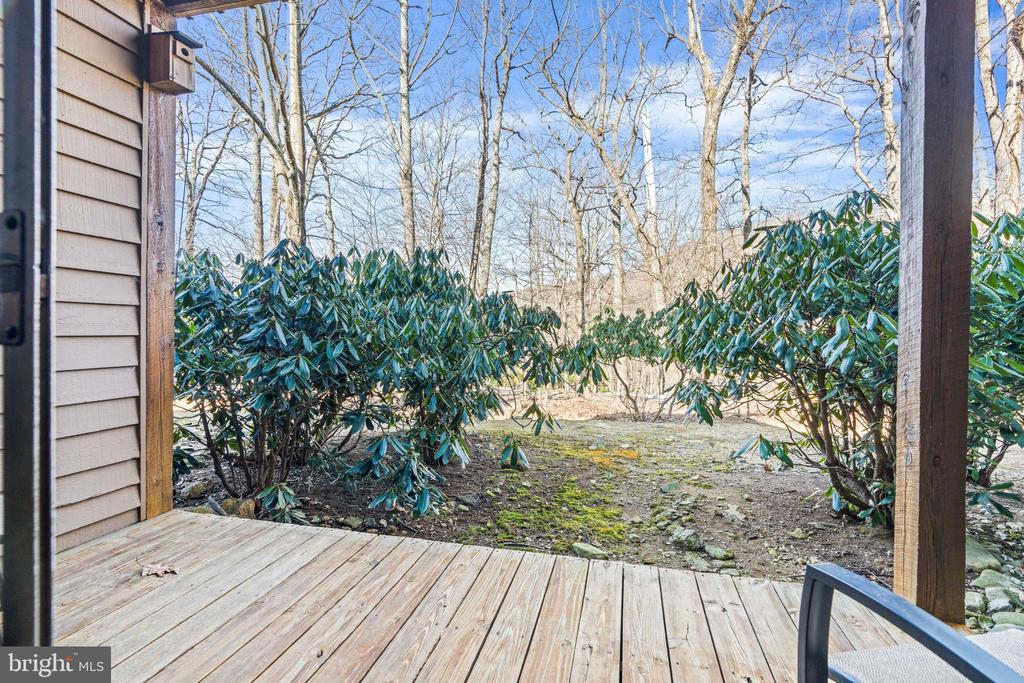 Wooden porch deck overlooking evergreen shrubs and a leafless wooded yard.
