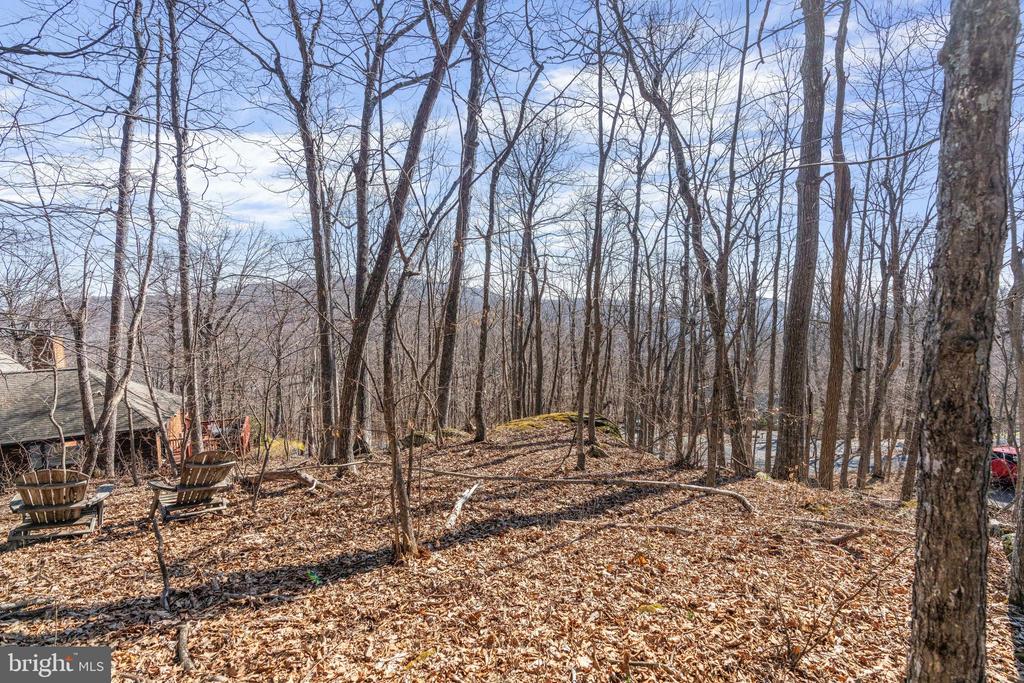 688 SHAMOKIN SPRINGS TRL TRAIL