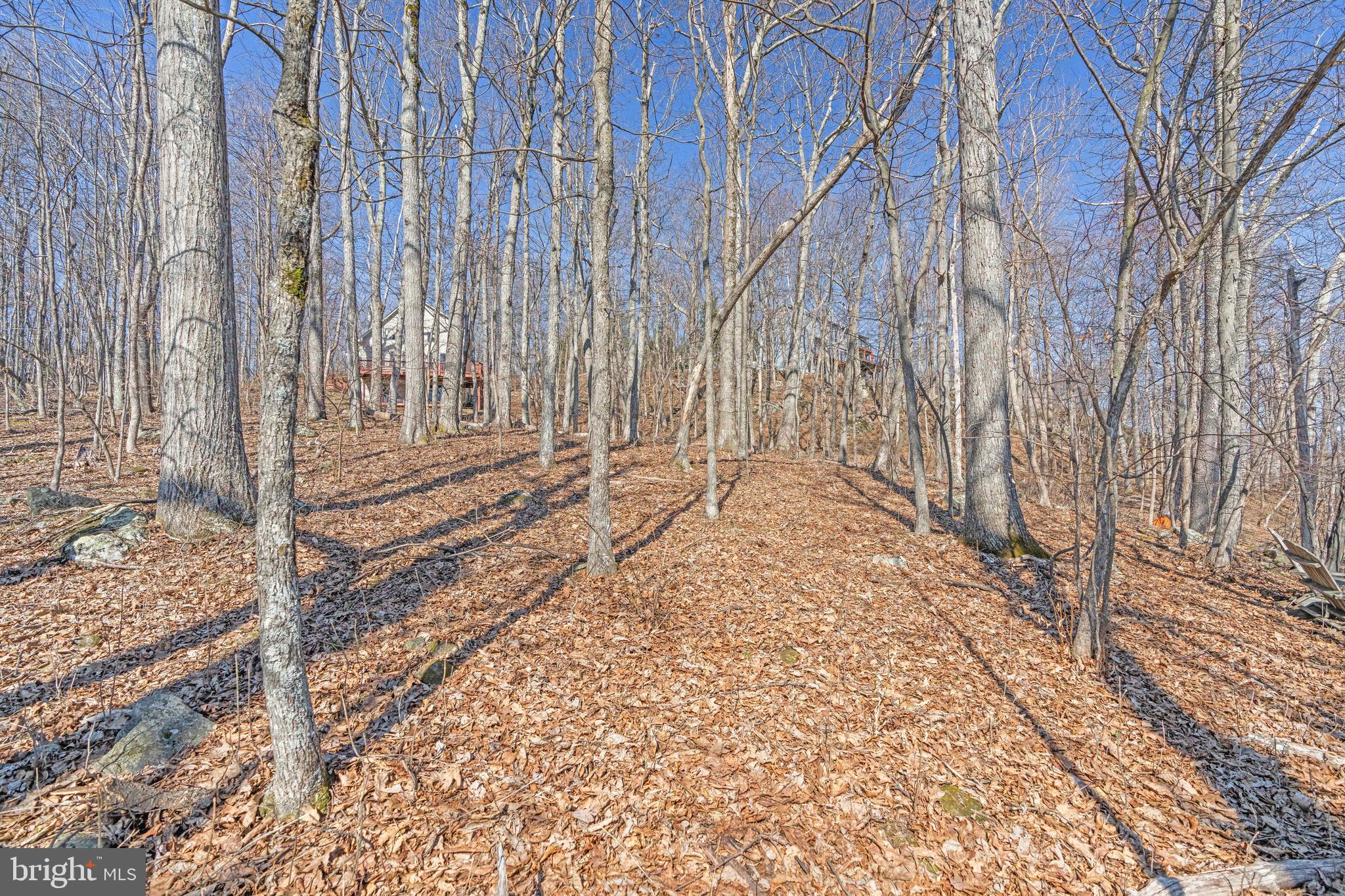 688 SHAMOKIN SPRINGS TRL TRAIL