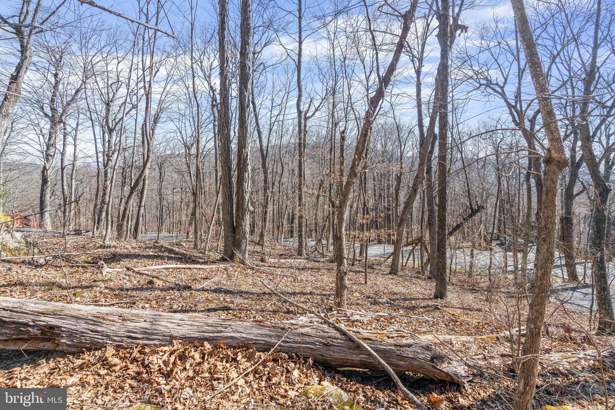 688 SHAMOKIN SPRINGS TRL TRAIL