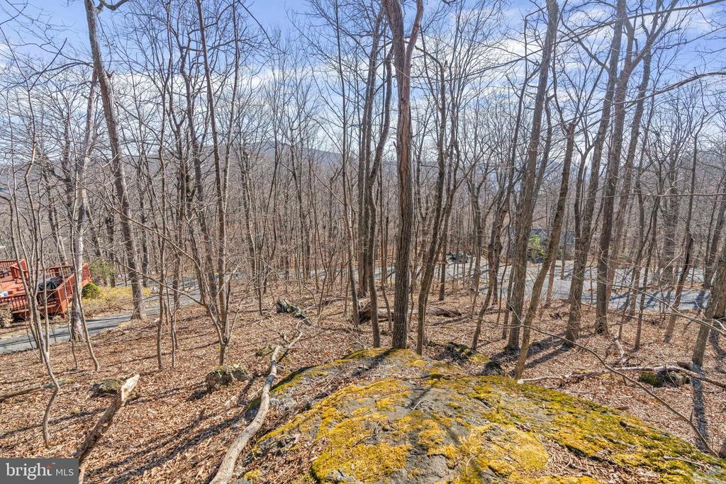 688 SHAMOKIN SPRINGS TRL TRAIL