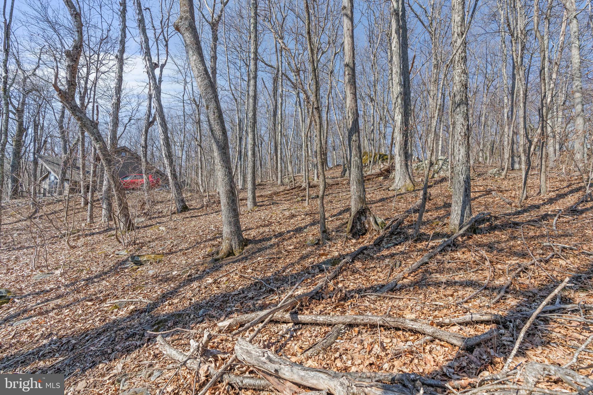 688 SHAMOKIN SPRINGS TRL TRAIL