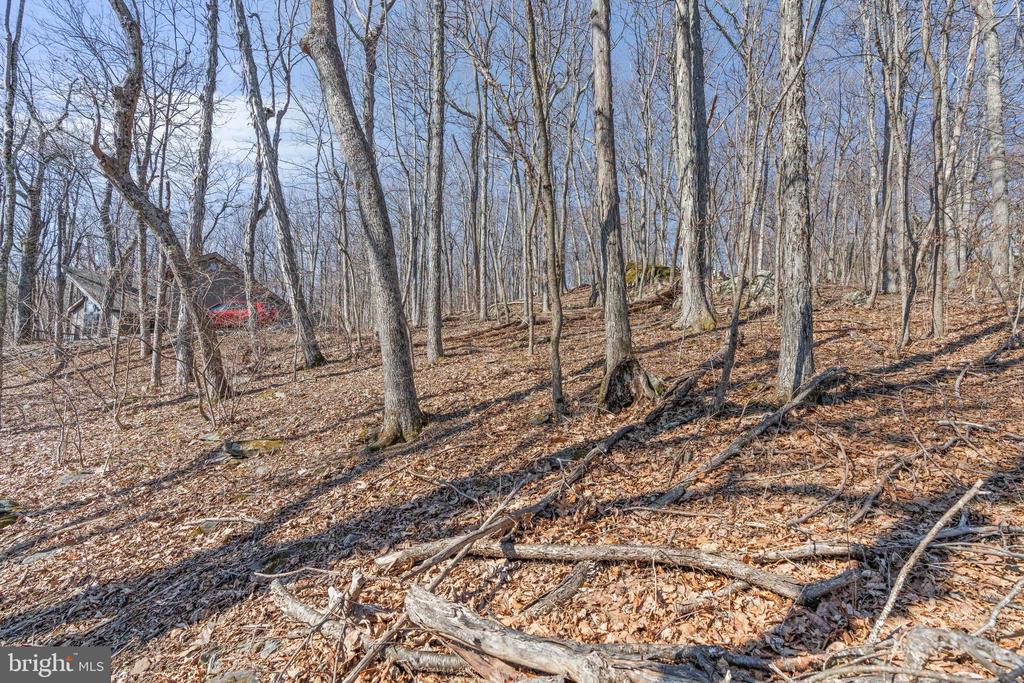 688 SHAMOKIN SPRINGS TRL TRAIL
