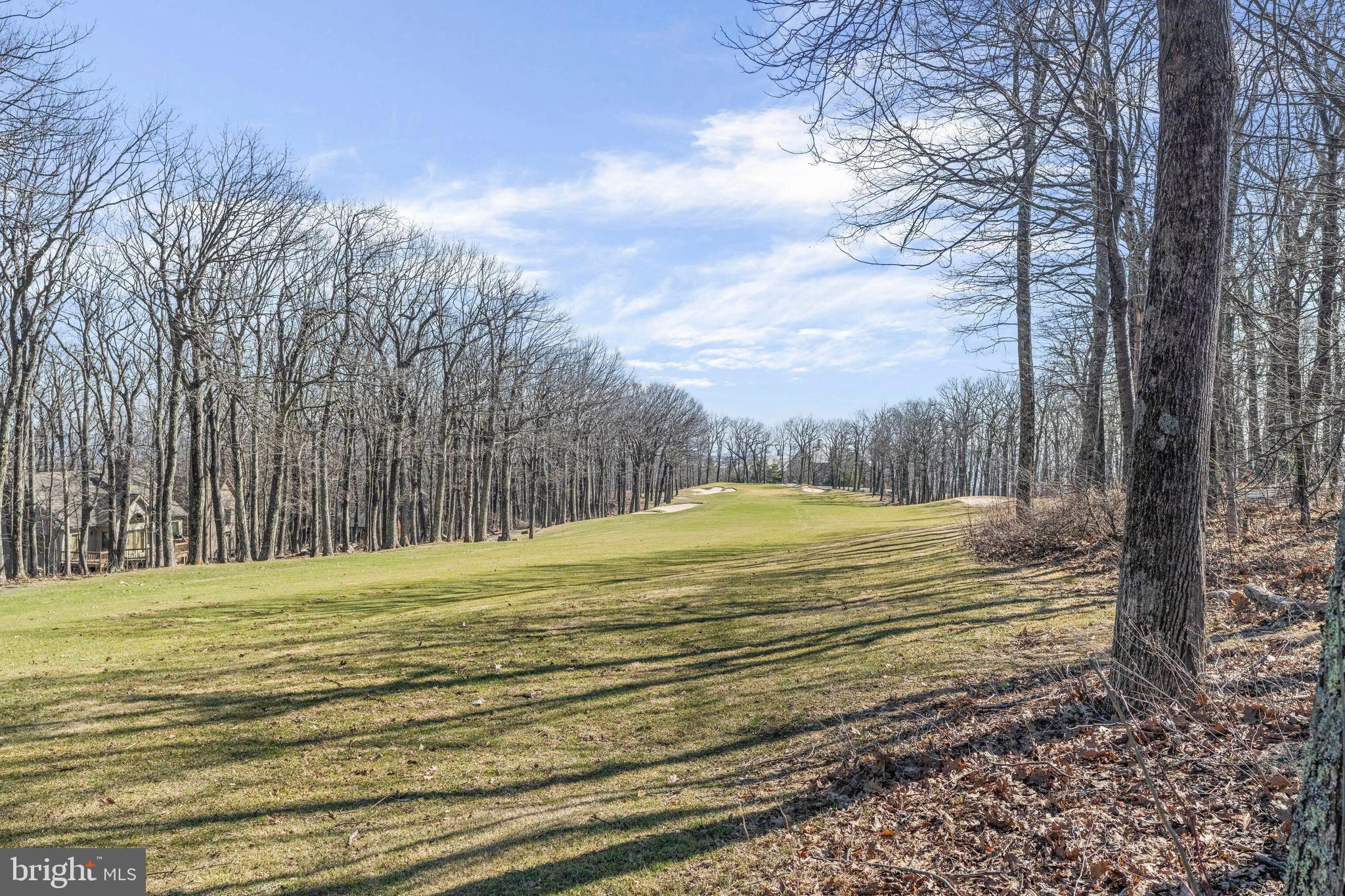 688 SHAMOKIN SPRINGS TRL TRAIL