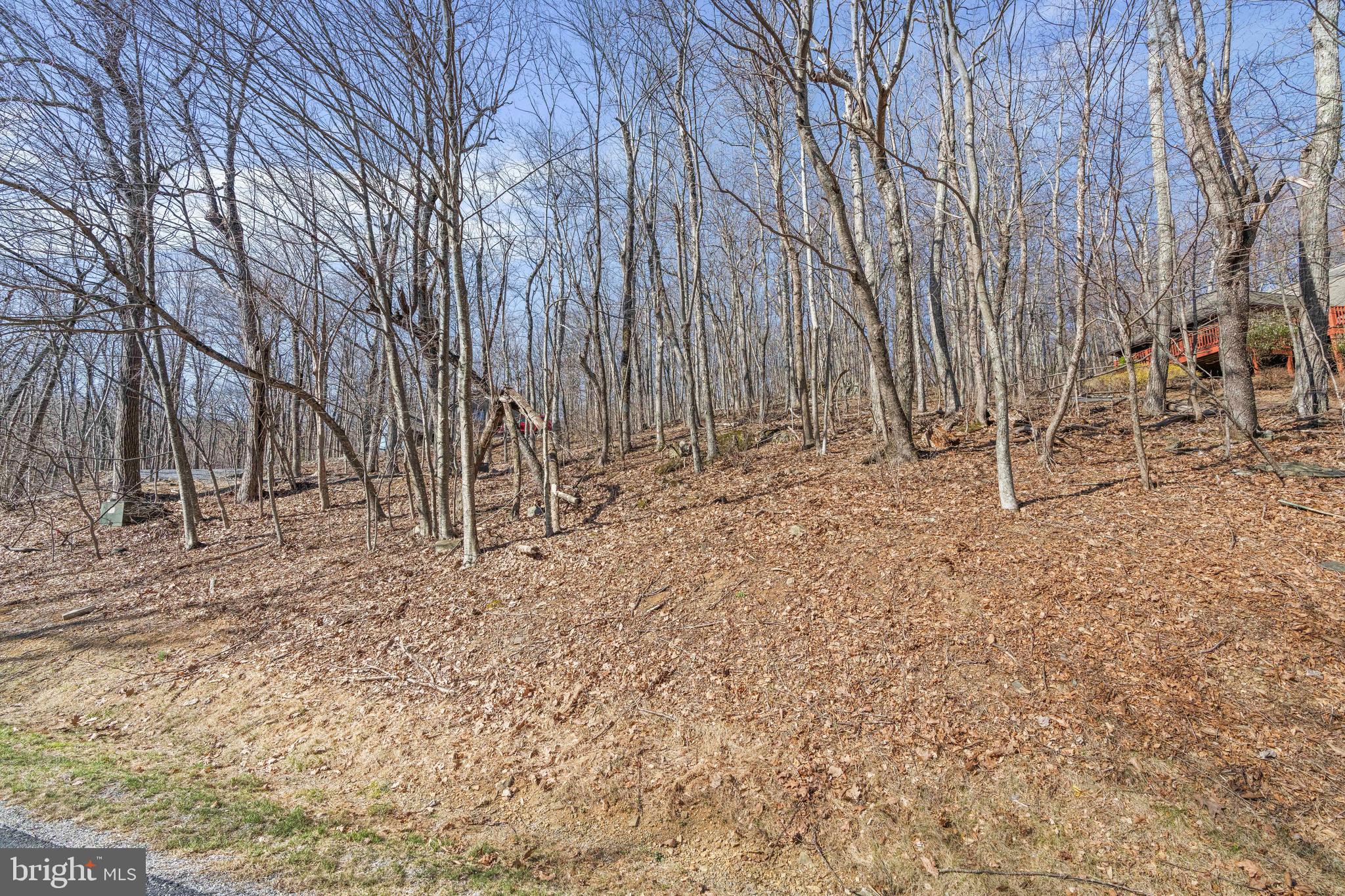 688 SHAMOKIN SPRINGS TRL TRAIL