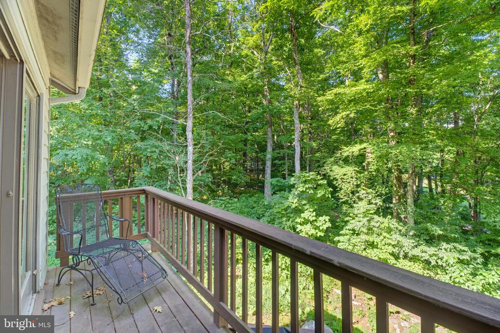 52 DEER SPRINGS LANE